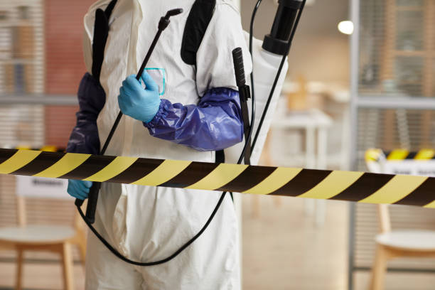 Professional Hoarding Cleanup technician working in Brownville, NJ